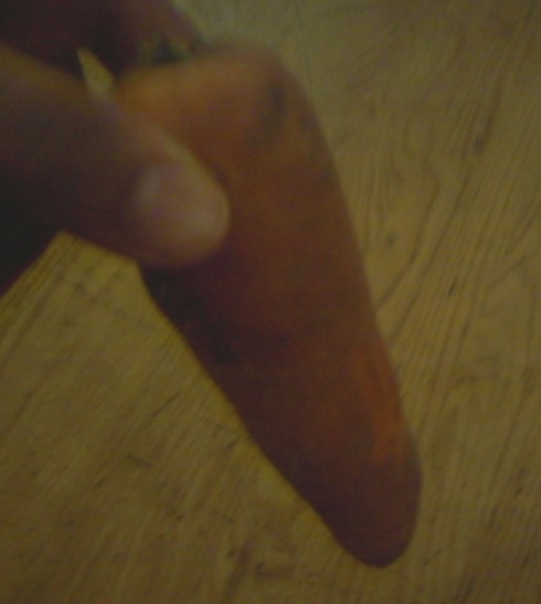 One of the three carrots I ate, in my hand (which I did not eat).